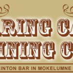 Roaring Camp Mining Co.